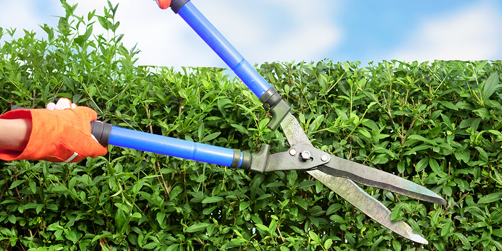 3 Summer Property Maintenance Tasks You Shouldn’t Skip